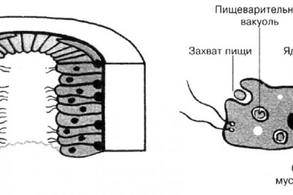 Кракен наркоторговец